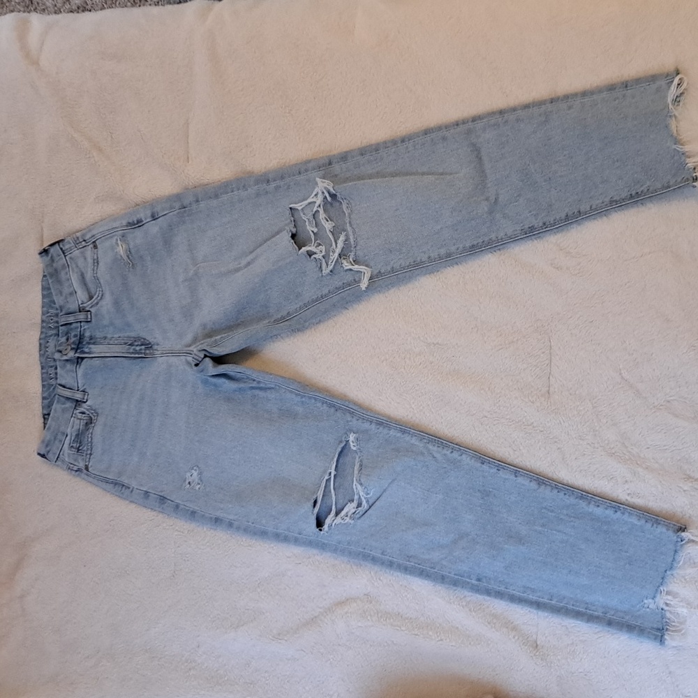 AE Strigid Curvy Mom Jean 00Reg